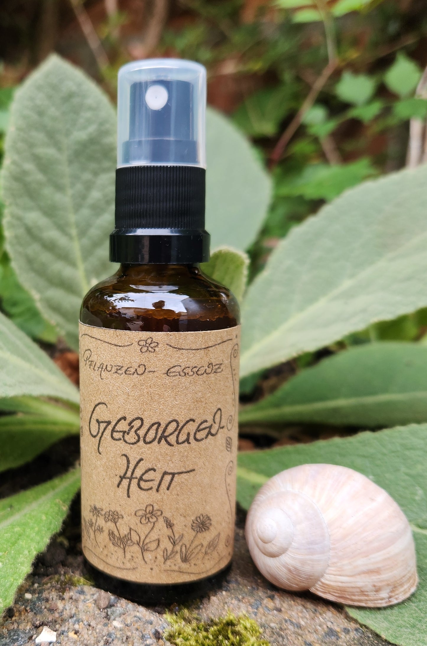 Pflanzenessenz "Geborgenheit" / Auraspray
