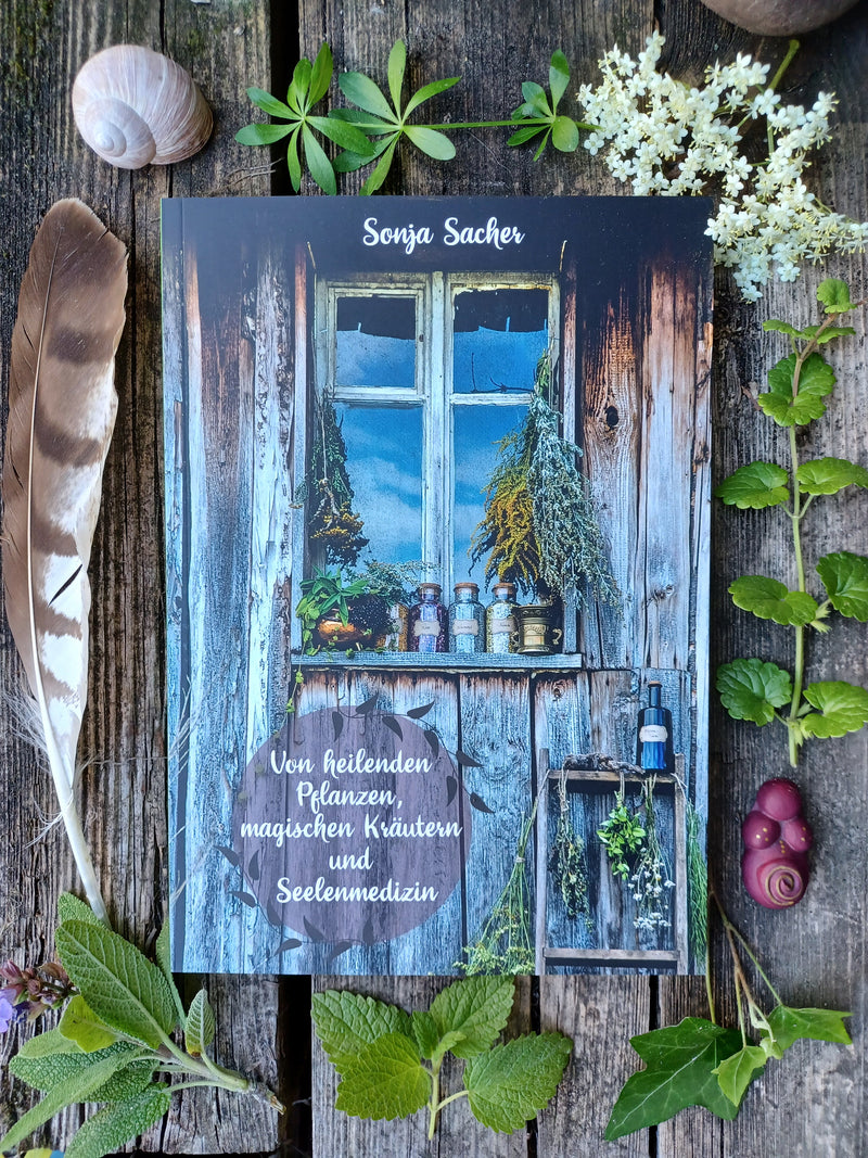 Bücher, Planer, Kalender