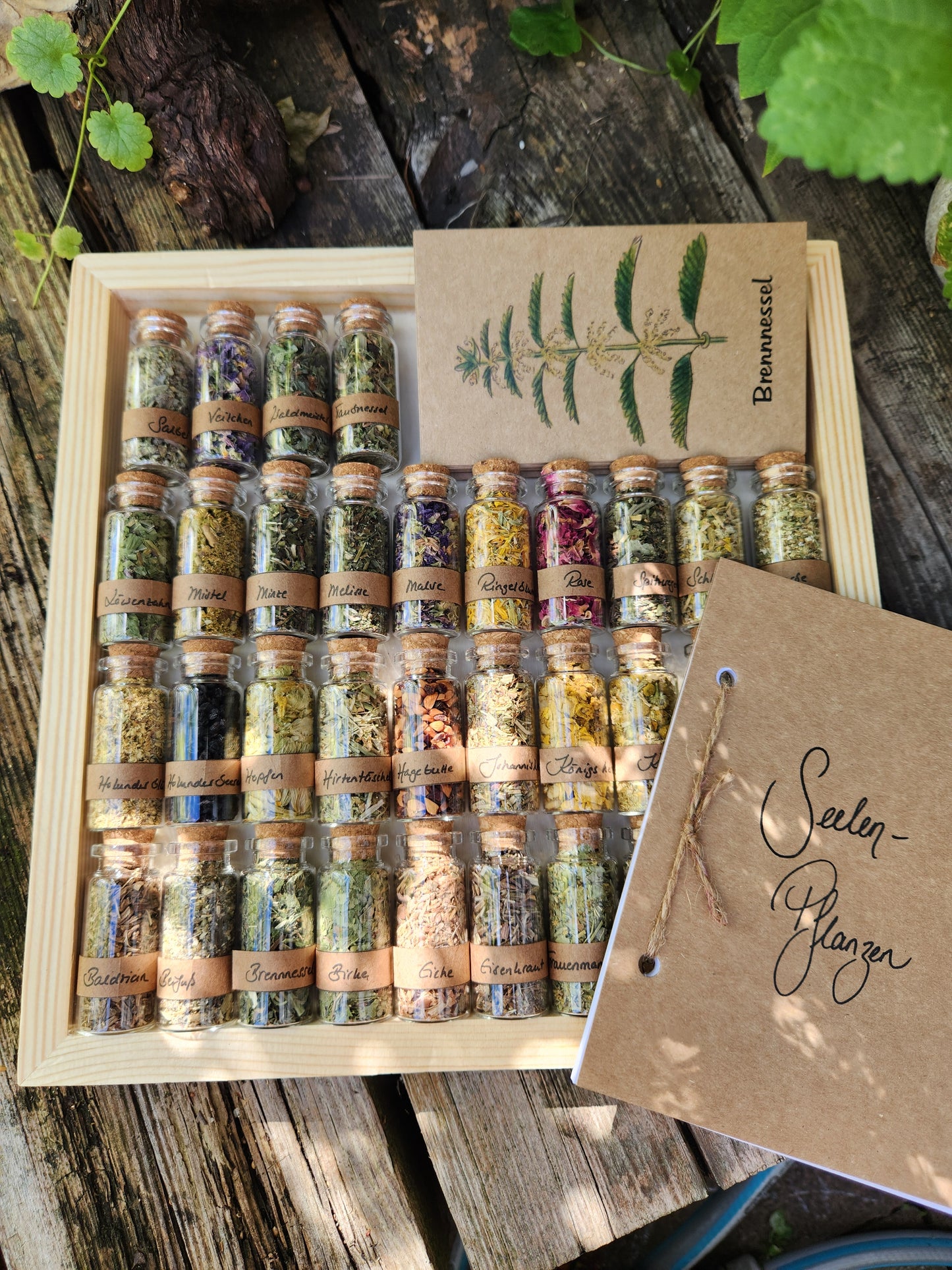 Seelen-Apotheke / Seelenmedizin / Kräutermedizin / Seelen-Ritual / Pflanzengeister / Seelenpflanzenkarten / Seelenpflanzen-Kartenset