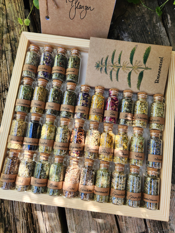 Seelen-Apotheke / Seelenmedizin / Kräutermedizin / Seelen-Ritual / Pflanzengeister / Seelenpflanzenkarten / Seelenpflanzen-Kartenset