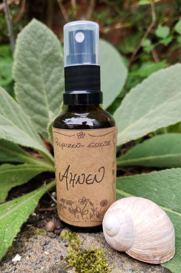 Pflanzenessenz "Ahnen" / Pflanzenessenz / Auraspray / Spirituell / Magie / Esoterik / Kräutermagie / Raumspray / Energiearbeit / Ahnenarbeit