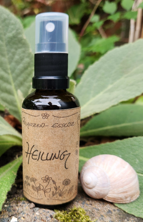 Pflanzenessenz "Heilung"