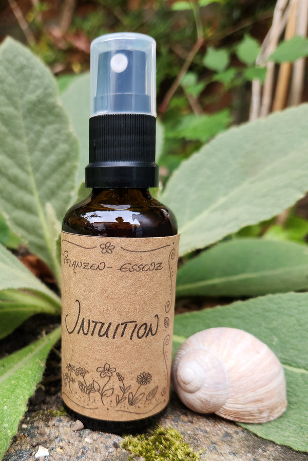 Pflanzenessenz "Intuition" / Pflanzenessenz / Auraspray / Spirituell / Magie / Esoterik / Kräutermagie / Raumspray / Energiearbeit /