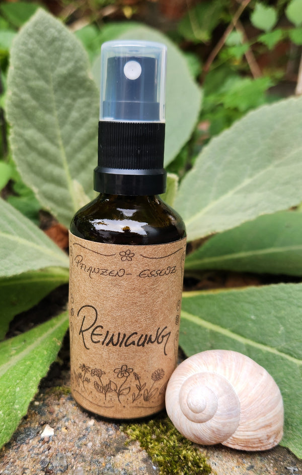 Pflanzenessenz "Reinigung" / Auraspray / Kräuteressenz / Kräutermagie / Spiritualität / Schamanismus