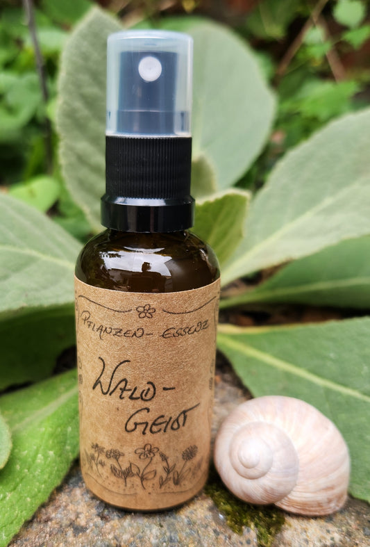 Pflanzenessenz "Wald-Geist" / Auraspray / Kräutermagie / Kräuter / Pflanzengeist