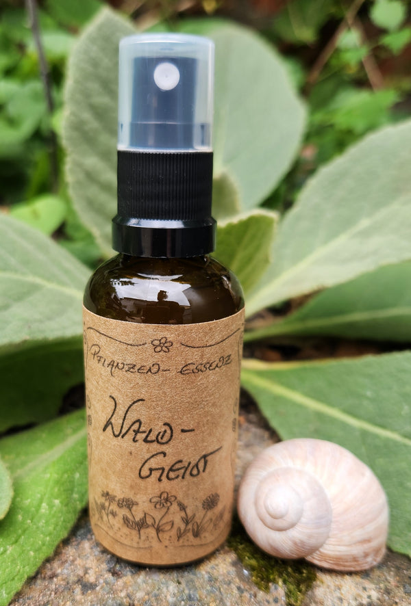 Pflanzenessenz "Wald-Geist" / Auraspray / Kräutermagie / Kräuter / Pflanzengeist