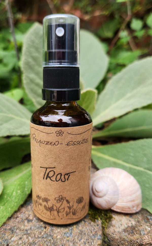 Pflanzenessenz "Trost" / Pflanzenessenz / Auraspray / Spirituell / Magie / Esoterik / Kräutermagie / Raumspray / Energiearbeit /