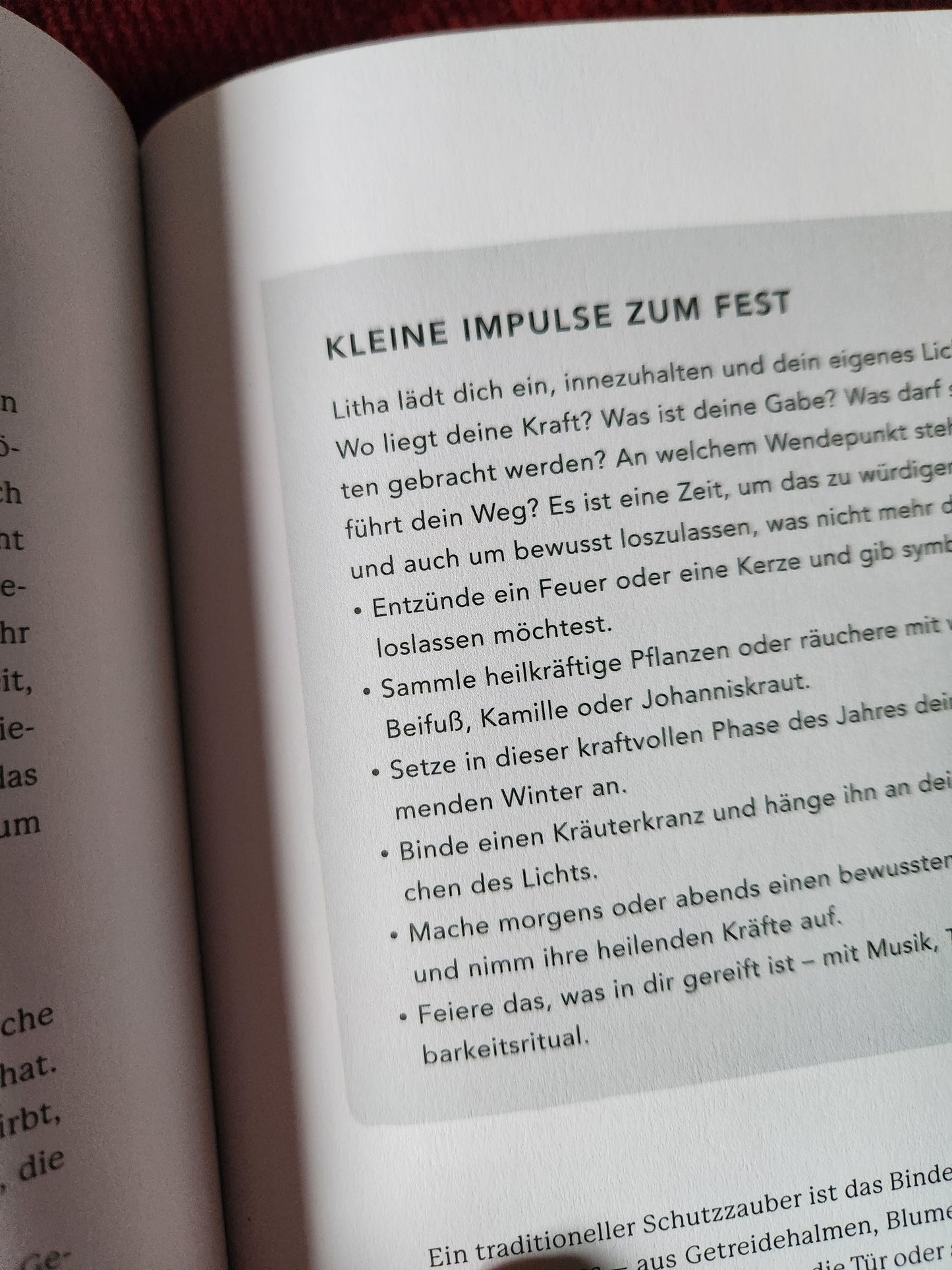 Pflanzenbuch "Magische Kräuter"