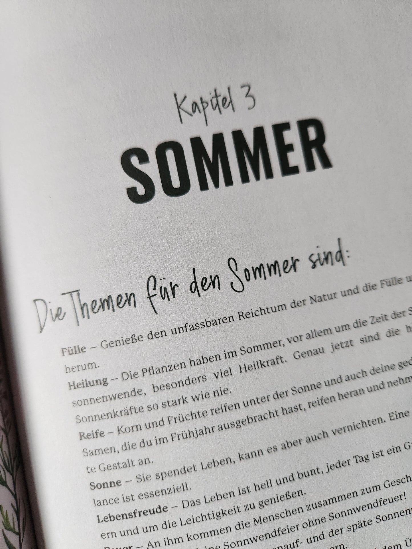 Pflanzenbuch "Magische Kräuter"