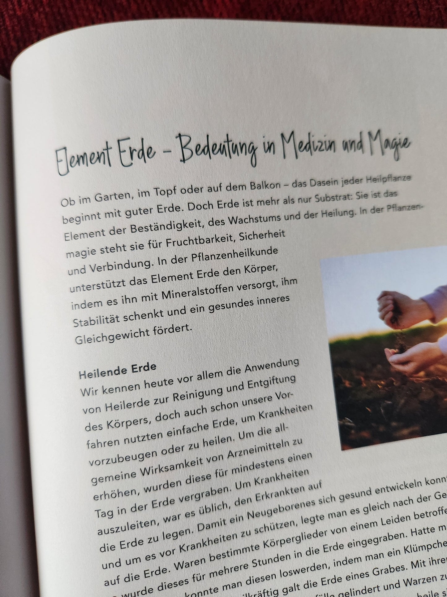 Pflanzenbuch "Magische Kräuter"